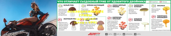 прущие грибы Белоозёрский