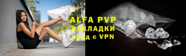 сатива Белокуриха