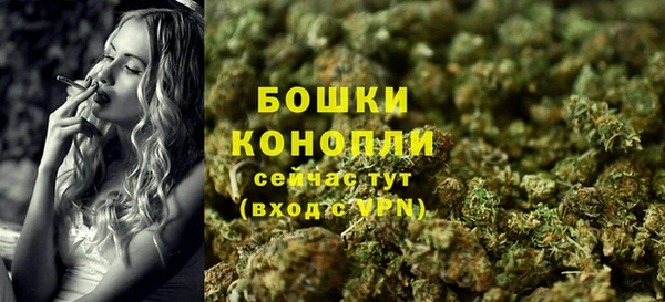 прущие грибы Белоозёрский