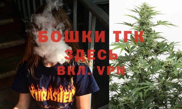 прущие грибы Белоозёрский