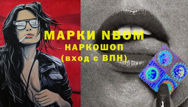 прущие грибы Белоозёрский